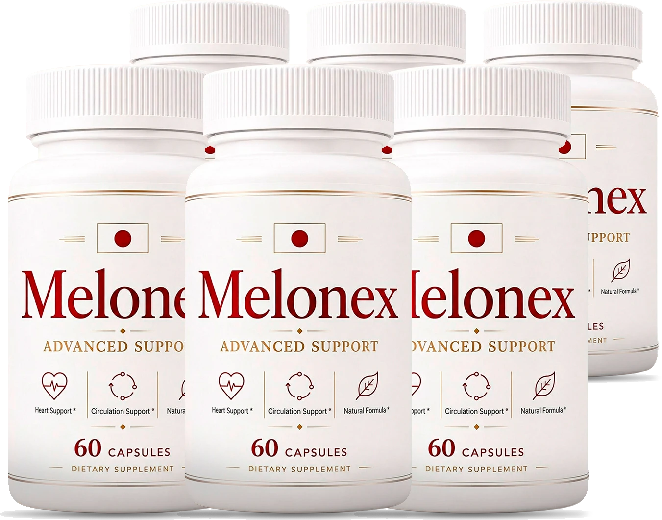 Melonex 6 Bottles